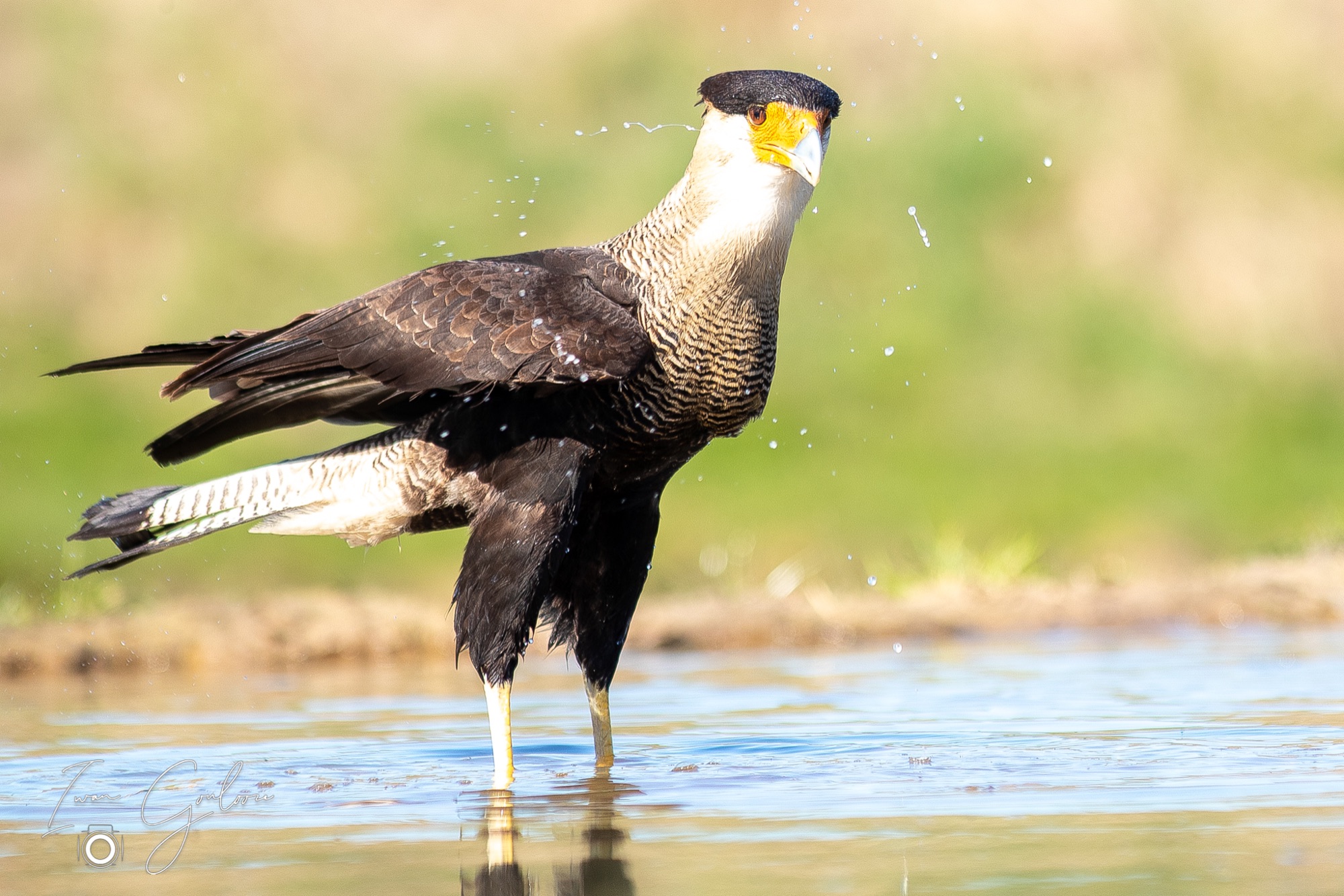 27 maart 2022 145254 1DX45710